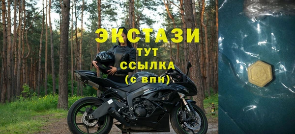 ECSTASY Горняк